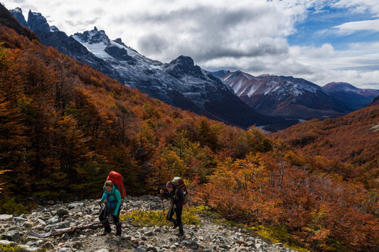 Explorando la Ruta de los Parques de la Patagonia: Lo que no puedes perderte